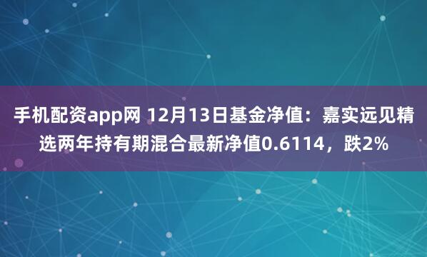 手机配资app网 12月13日基金净值：嘉实远见精选两年持有期混合最新净值0.6114，跌2%