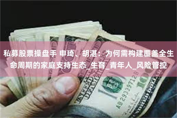 私募股票操盘手 申琦、胡湛：为何需构建覆盖全生命周期的家庭支持生态_生育_青年人_风险管控