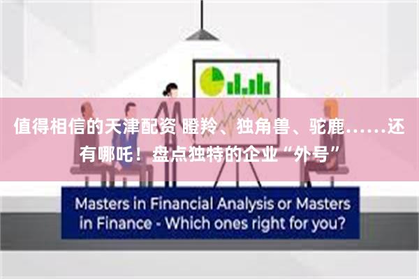 值得相信的天津配资 瞪羚、独角兽、驼鹿……还有哪吒！盘点独特的企业“外号”