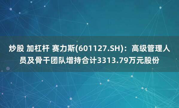 炒股 加杠杆 赛力斯(601127.SH)：高级管理人员及骨干团队增持合计3313.79万元股份