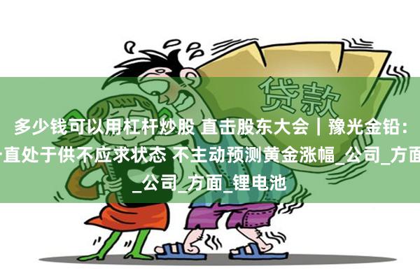 多少钱可以用杠杆炒股 直击股东大会｜豫光金铅：铅产品一直处于供不应求状态 不主动预测黄金涨幅_公司_方面_锂电池