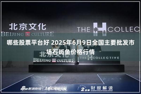 哪些股票平台好 2025年6月9日全国主要批发市场石斑鱼价格行情